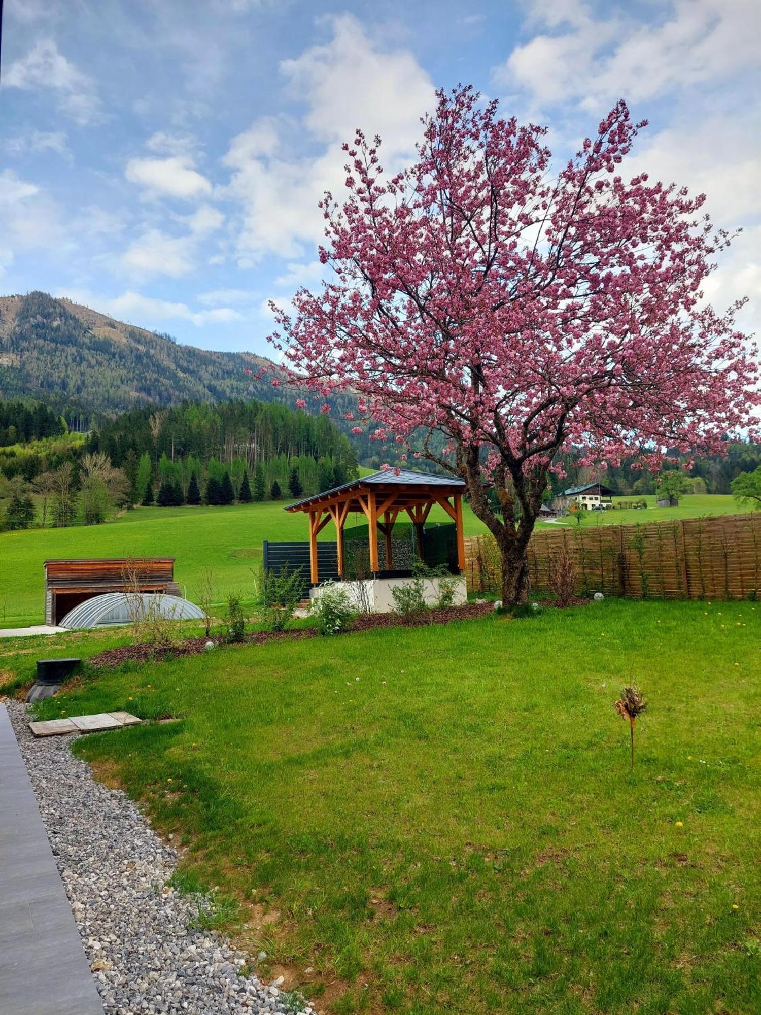 Hofpower'S Mountain Feeling Apartment Hinterstoder Exterior photo